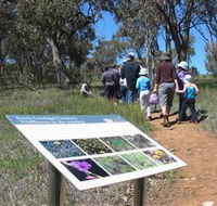 South Gundagai Woodlands Walk - Accommodation Newcastle