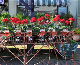 Van Loon's Nursery - Accommodation Newcastle 0