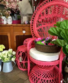 Van Loon's Nursery - Accommodation Newcastle 3