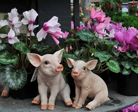 Van Loon's Nursery - Accommodation Newcastle 2