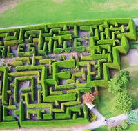 Hedgend Maze and Healesville Laser Sport - Accommodation Newcastle