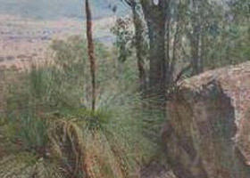 Burrowye VIC Accommodation Newcastle