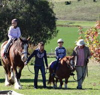 Bathurst Farm Experience - Accommodation Newcastle