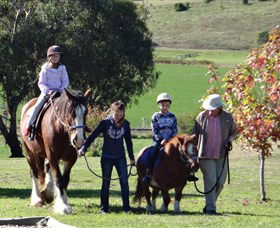 Bathurst Farm Experience - Accommodation Newcastle 0