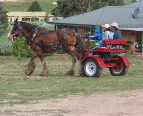 Bathurst Farm Experience - Accommodation Newcastle 3