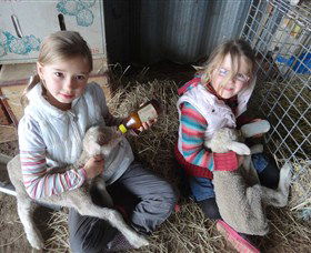 Bathurst Farm Experience - Accommodation Newcastle 4