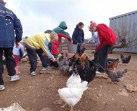 Bathurst Farm Experience - Accommodation Newcastle 2