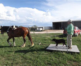 Bathurst Farm Experience - Accommodation Newcastle 6