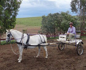 Bathurst Farm Experience - Accommodation Newcastle 8