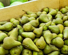 Dandenong Market - Accommodation Newcastle 1