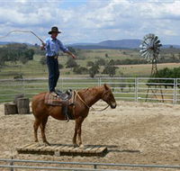 Boggy Creek Shows - Accommodation Newcastle