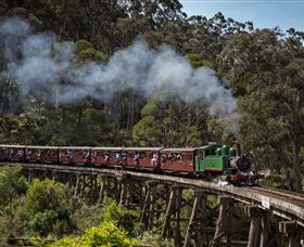 Puffing Billy Steam Railway - Accommodation Newcastle 0