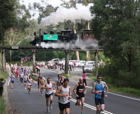 Puffing Billy Steam Railway - Accommodation Newcastle 7