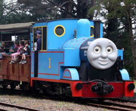 Puffing Billy Steam Railway - Accommodation Newcastle 8
