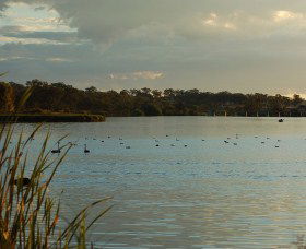 Lake Inverell Reserve - Accommodation Newcastle 0
