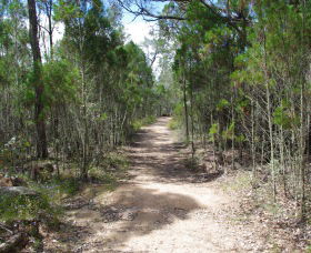 Goonoowigall State Conservation Area - Accommodation Newcastle 1