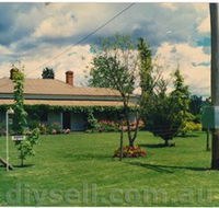 Tumut Valley Violets - Accommodation Newcastle