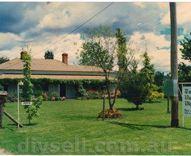 Tumut Valley Violets - Accommodation Newcastle 0