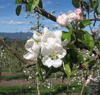 Mouat's Farm - Accommodation Newcastle