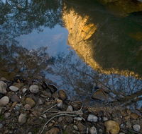 Abercrombie Karst Conservation Reserve - Accommodation Newcastle