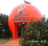 Gayndahs Big Orange - Accommodation Newcastle