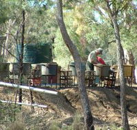 7 Oaks Sapphire Fossicking - Accommodation Newcastle