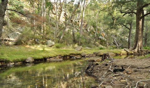 Capertee National Park - Accommodation Newcastle 0