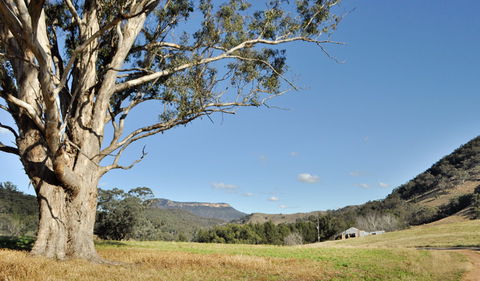 Capertee National Park - Accommodation Newcastle 2