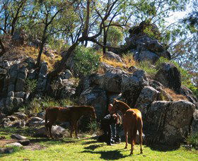  Accommodation Newcastle