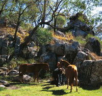 Coomba Falls - Accommodation Newcastle