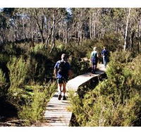 Hume and Hovell Walking Track - Henry Angel Trackhead - Accommodation Newcastle