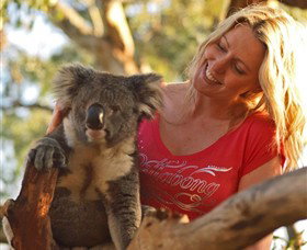 Moonlit Sanctuary Wildlife Conservation Park - Accommodation Newcastle 5