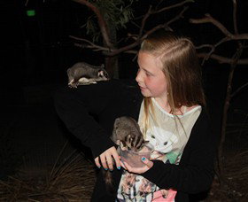 Moonlit Sanctuary Wildlife Conservation Park - Accommodation Newcastle 6