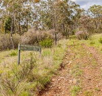 Old Mountain Road Walking Track - Accommodation Newcastle