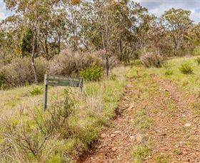 Old Mountain Road Walking Track - Accommodation Newcastle 0