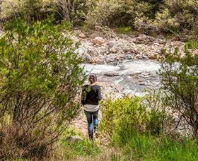 Old Mountain Road Walking Track - Accommodation Newcastle 1