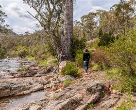 Old Mountain Road Walking Track - Accommodation Newcastle 2