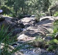 Towarri National Park - Accommodation Newcastle