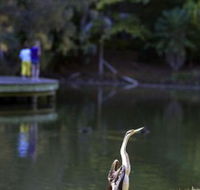 Birdwatching in the South Burnett - Accommodation Newcastle