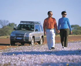 Canna Reserve - Accommodation Newcastle 1