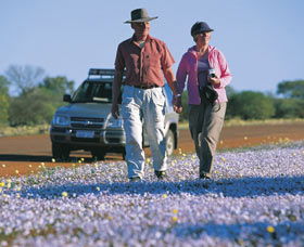 Canna Reserve - Accommodation Newcastle 2