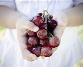 Granitevale  Estate Winery - Accommodation Newcastle 0