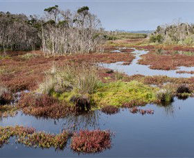 French Island National Park - Accommodation Newcastle 0