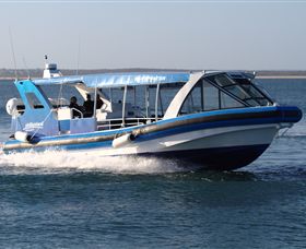 Phillip Island Nature Parks - Accommodation Newcastle 2