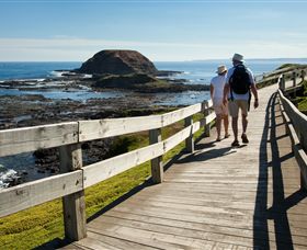 Phillip Island Nature Parks - Accommodation Newcastle 3