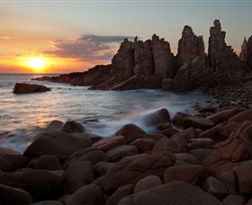 Phillip Island Nature Parks - Accommodation Newcastle 6
