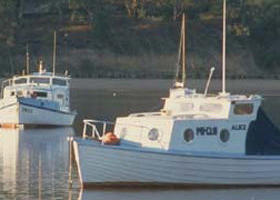 Western Port - Accommodation Newcastle 0