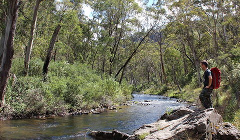 Yarrangobilly Caves - Accommodation Newcastle 1