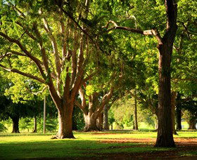 Queens Park, Toowoomba - Accommodation Newcastle 1