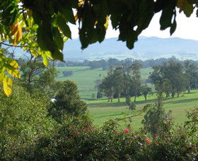 Brandy Creek Wines & View Cafe - Accommodation Newcastle 5